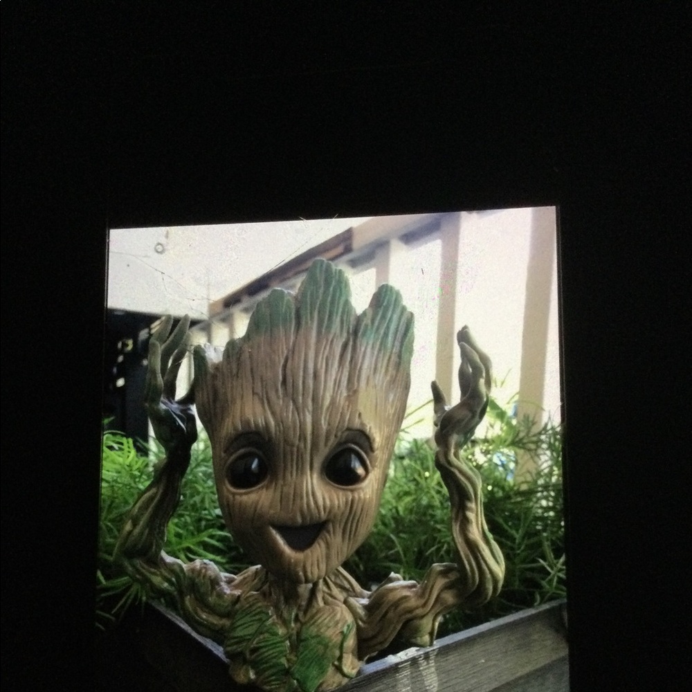 Grootplanter - Picture 2 of 3